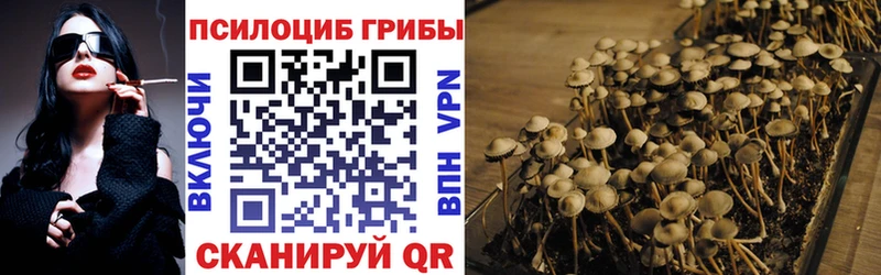 Купить  Северодвинск  Псилоцибиновые грибы мухоморы 